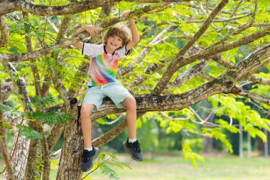 Çocuk yaz parkında ağaca tırmanıyor. Çocuklar doğayı keşfeder. Vahşi çocuk ormanda eğleniyor. Genç kaşif dışarıda oynuyor. Çocuklar oynar ve ağaçlara tırmanır. Güneşli bahçede sağlıklı açık hava aktivitesi.