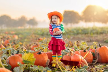 Küçük kız ve erkek Halloween kabak yama üzerinde kabak toplama. Çocuklar squash alanında oynuyor. Çocuk olgun sebze bir çiftlikte tatil sezonu Şükran Günü'nü seçin. Sonbaharda eğlenmek aile.