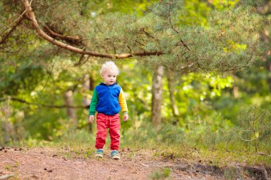 Sonbahar parkta oynayan çocuklar. Çocuklar açık havada bir güneşli sonbahar günü oynamak. Erkek ve kız birlikte çalışan bir ormandaki el el. Yürümeye başlayan çocuk ve okul öncesi renkli Meşe yaprağı seç. Aile eğlence açık. 