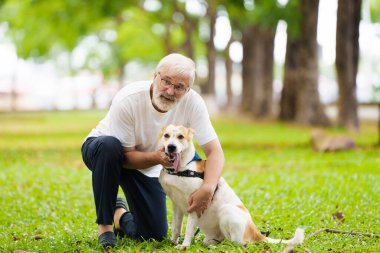 Kıdemli adam köpeğini gezdiriyor. Aktif emeklilik. Güneşli yaz parkında köpek yavrusuyla oynayan adam. Emekli adam ve evcil hayvanı. Aşk ve arkadaşlık.