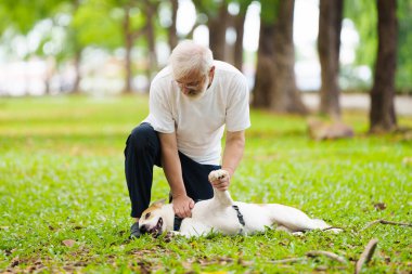Kıdemli adam köpeğini gezdiriyor. Aktif emeklilik. Güneşli yaz parkında köpek yavrusuyla oynayan adam. Emekli adam ve evcil hayvanı. Aşk ve arkadaşlık.