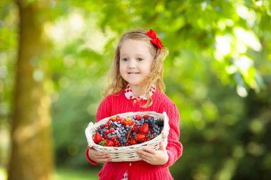 Çiftlikte meyve toplayan çocuk. Çilek, ahududu, yaban mersini, böğürtlen, kırmızı ve siyah frenk üzümü yiyen küçük kız. Çocuklar meyve yer. Çocuklar için sağlıklı beslenme. Meyve sepeti ile Toddler çocuk.