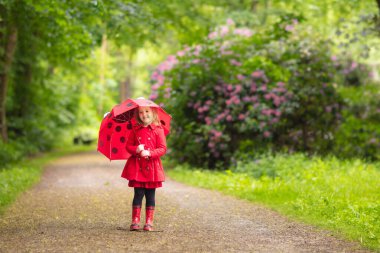 Küçük kız yağmurlu yaz parkta oynarken. Çocuk ile kırmızı uğur böceği şemsiye, ceket ve su birikintisine atlama bot su geçirmez ve yağmurda çamur. Sonbahar duş yürüyüş çocuk. Herhangi bir hava açık eğlence.