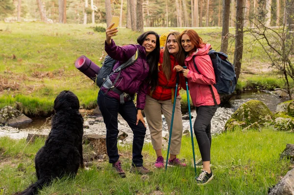 Três Mulheres Com Mochilas Caminhada Cão Tomando Uma Selfie Enquanto — Fotografia de Stock