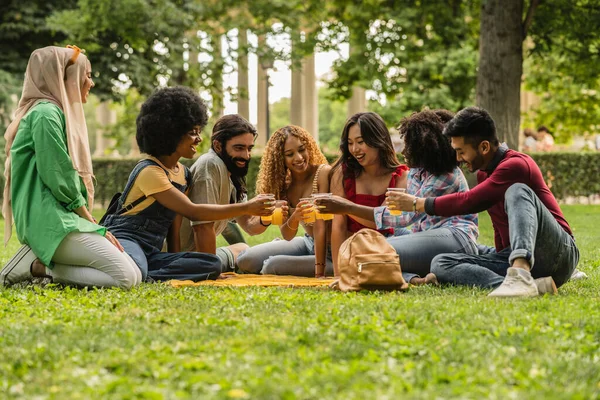 Multiracial group of friends toasting with orange juice on the grass in a public park