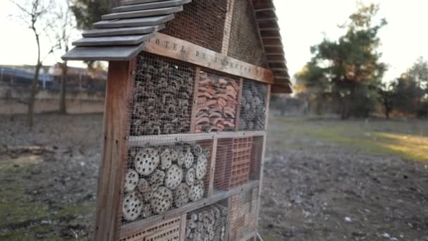 Bahçedeki Böcek Oteli Yararlı Yararlı Böcekler Için Bahar Başında Böcek — Stok video