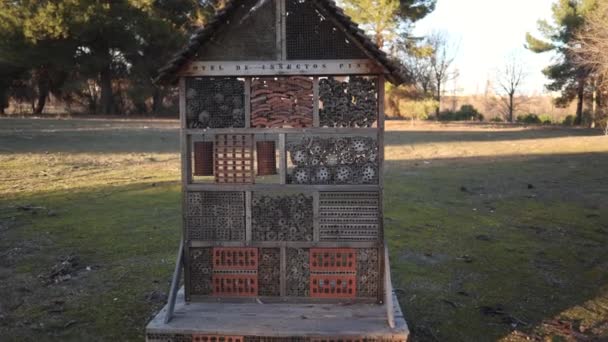Insect Hotel Pollinator House Bees Other Pollinators Close — 图库视频影像