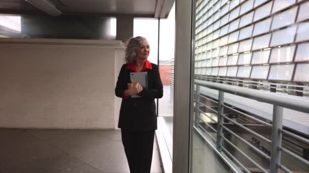 Mature White Haired Business Woman Using Tablet Office Looking Out — Wideo stockowe