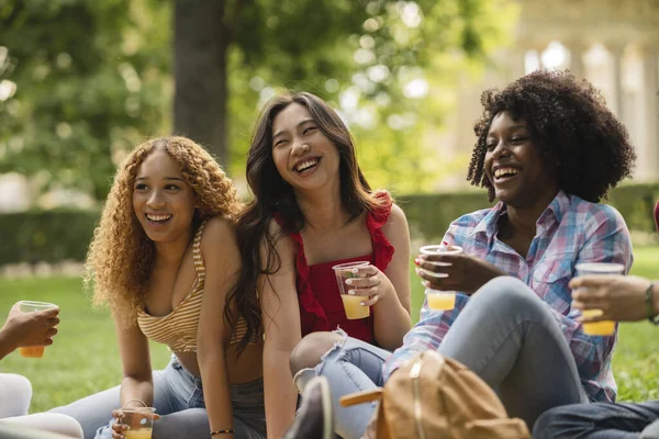 diverse women on picnic drink juice and have fun in park, millennial generation enjoying free time.