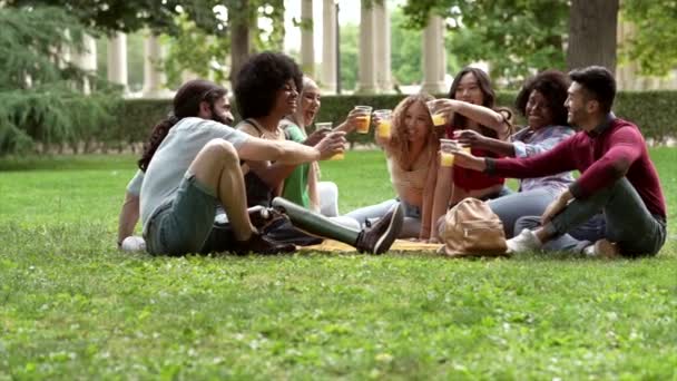 Group Diverse People Picnic Drink Juice Have Fun Park Millennial — Video