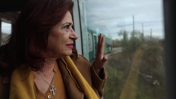 Ώριμη Γυναίκα Στο Τρένο Κοιτάζει Έξω Από Παράθυρο Παρατηρώντας Ευτυχισμένη — Αρχείο Βίντεο