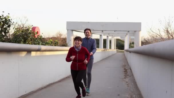 Volwassen Paar Doen Intense Workout Het Park — Stockvideo
