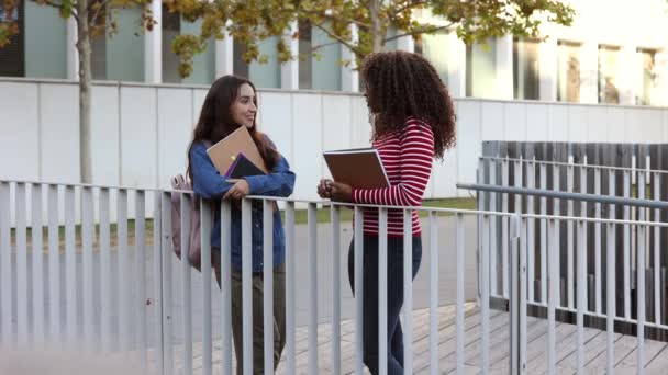 Jóvenes Diversos Estudiantes Multirraciales Divirtiéndose Aire Libre Riéndose Juntos Concepto — Vídeos de Stock