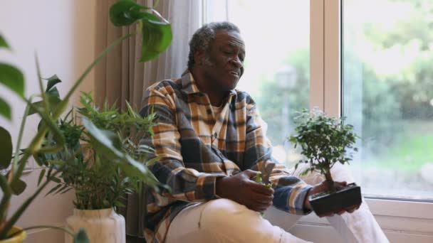 Jubilado Cuidando Sus Plantas Casa Africano Que Está Casa Tiempo — Vídeos de Stock