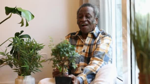 African Senior Man Taking Care His Houseplant Home — Stock Video