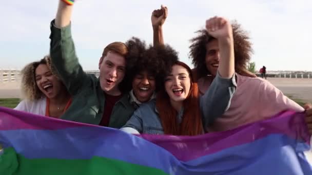 Різноманітна Група Прапором Lgbt Святкування Дня Гомосексуальної Гордості — стокове відео