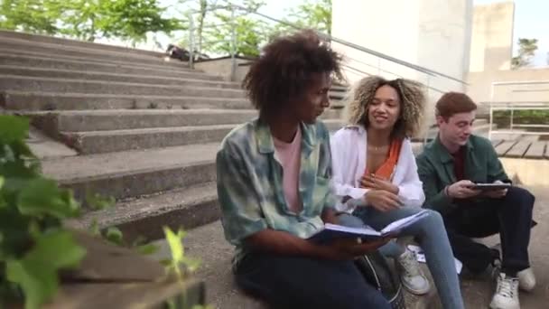 Çok Kültürlü Bir Grup Genç Arkadaş Açık Havada Kaynaşıyor Kampüste — Stok video