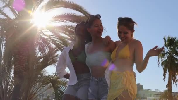 Abrazo Playa Amigos Mujeres Multirraciales Felices Las Vacaciones Reunión Amistad — Vídeo de stock
