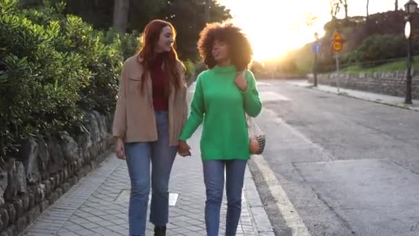 Schwules Lesbisches Paar Geht Die Straße Hinunter Liebe Einkaufen Junges — Stockvideo