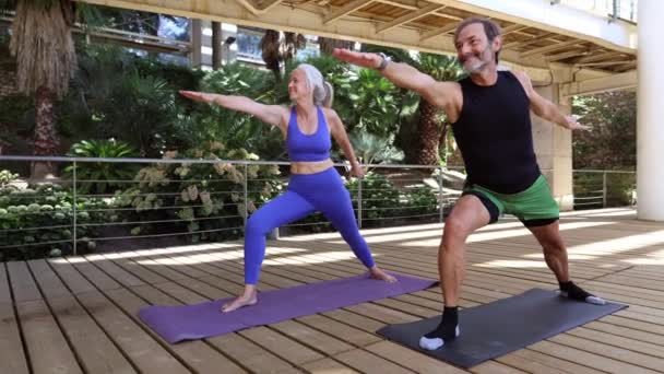 Senior Paar Beoefenen Yoga Park — Stockvideo