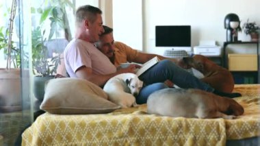 Evde kitap okuyan eşcinsel bir çift kanepede köpek yavrularıyla rahatlar.