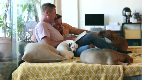 Ζευγάρι Gay Άνδρες Ανάγνωση Στο Σπίτι Χαλαρή Κουτάβια Τους Στον — Αρχείο Βίντεο
