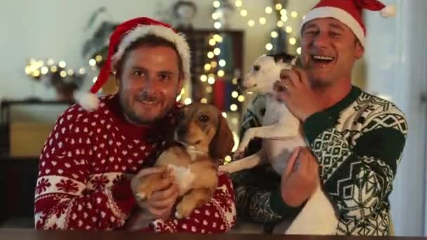 Homosexuell Männlich Paar Grüßen Kamera Weihnachten Mit Weihnachtshut Und Puppieslgbt — Stockvideo