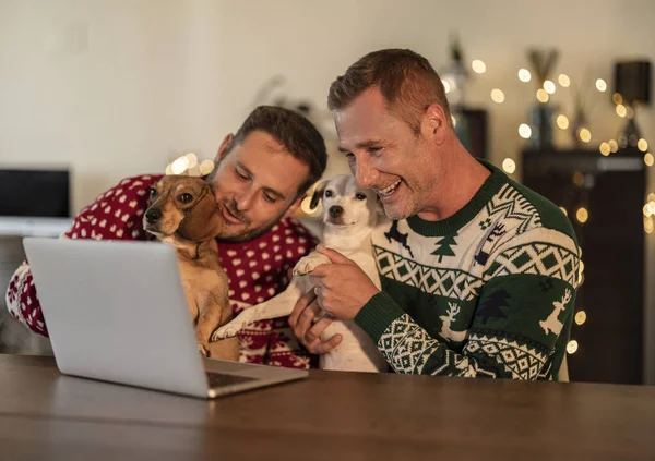 couple gay men christmas video call greeting with puppies - family video new year -