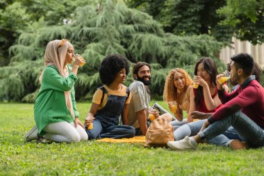 Bir grup mutlu, çok ırklı, açık hava partisinde içen ve birbirleriyle konuşan genç insan şehir parkı çimlerinde oturuyorlar. Arkadaşlar dışarıda alkolle eğleniyor.