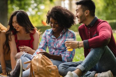 Çok ırklı bir arkadaş grubu parkta eğleniyor.