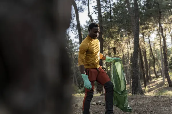 African American volunteer with a plastic bag collects waste and garbage in the forest