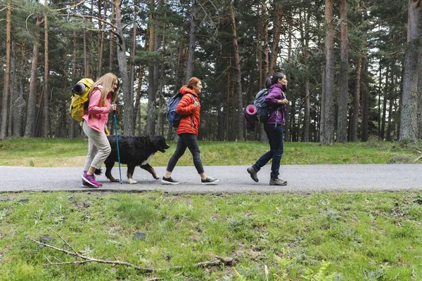 group of multiethnic friends hiking with their dog through the forest in a row