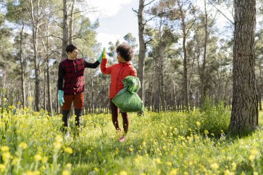 Çok ırklı gönüllüler, doğa parkında çöpleri topluyor, çevre için geri dönüşüm bakımını yapıyorlar.