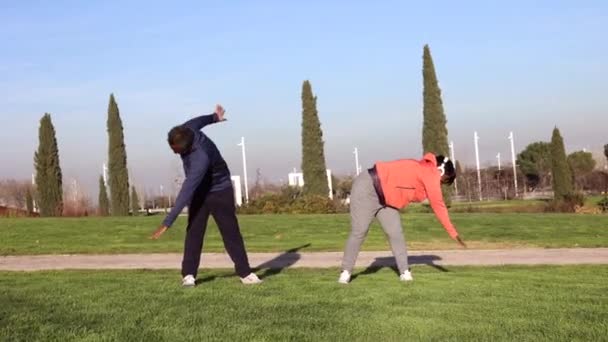美国黑人老年夫妇在城外公园锻炼的视频 — 图库视频影像