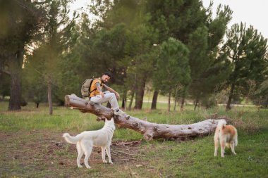 Doğa yürüyüşçüsü ve köpekleri.