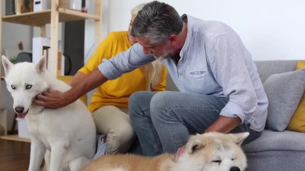 Pareja Mayor Viendo Televisión Sofá Con Sus Perros — Vídeos de Stock