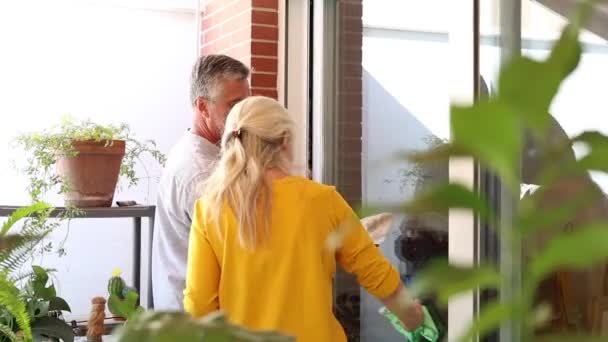 Senior Couple Nettoyage Des Fenêtres Heureux Sourire — Video