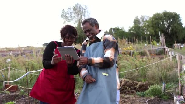 数字平板电脑在果园里的非洲老年夫妇 — 图库视频影像