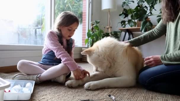 Büyükanne Torun Köpeğe Yara Bandı Yapıştırıyorlar Evde Veterinercilik Oynuyorlar — Stok video