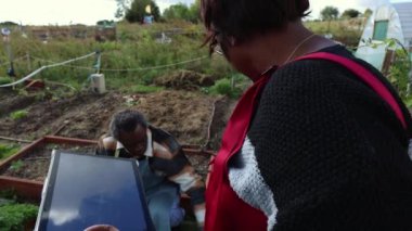 Yetişkin çiftler, sürdürülebilir tarım odaklı bir toplum bahçesinde birlikte çalışmaktan hoşlanırlar..