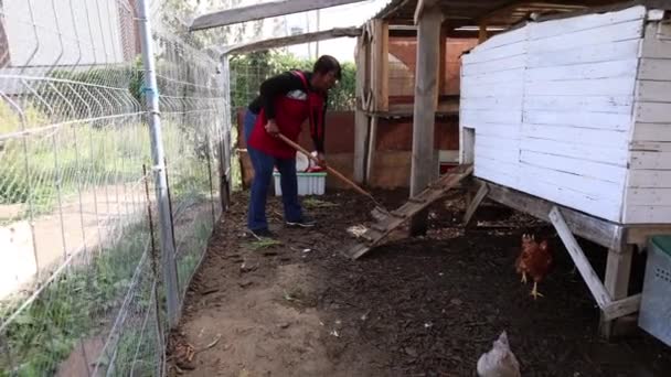 Seorang Wanita Dewasa Yang Rajin Menggaruk Lantai Kandang Ayam Memastikan — Stok Video