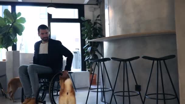 Yerinde Tekerlekli Sandalyedeki Adamı Köpeklerin Arasında Dolaşıyor Arkadaşlarıyla Kahvaltıda Buluşuyor — Stok video