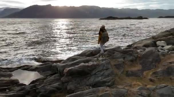 Exuberant Hiker Arms Outstretched Stands Coastal Rocks Celebrating Nature Beauty — Stock Video