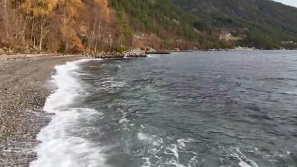 Ondas Tranquilas Mar Contrastam Com Paisagem Florestal Intocada Costa Norueguesa — Vídeo de Stock