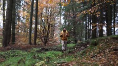 Genç, yetişkin bir erkek, ormanın sükunetine dalmış, canlı sonbahar yaprakları arasında tek başına dolaşır. Güz Ormanında Tek Başına Yürüyen Yürüyüşçü