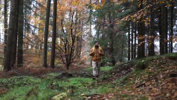 一个年轻的成年男子独自漫步在生机勃勃的秋天树叶中 沉浸在森林的宁静之中 孤独的徒步旅行者穿过自动的森林 — 图库视频影像