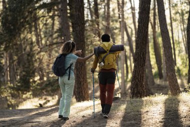 Sohbete dalmış iki arkadaş, altın saat boyunca gölgeli bir orman yolunda yürür, birlikte anılar yaratırlar..