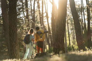 Gün batımının tadını çıkarmak için duraklayan bir çiftin arka görüntüsü. Sessiz bir orman yürüyüşünde uzun çam ağaçlarının arasından süzülüyor..