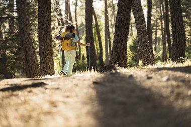 Güneş ışığının sıcacık parıltısıyla, yürüyüş kıyafetli bir kadın heybetli çam ağaçlarıyla kaplı bir yolda emin adımlarla ilerliyor..