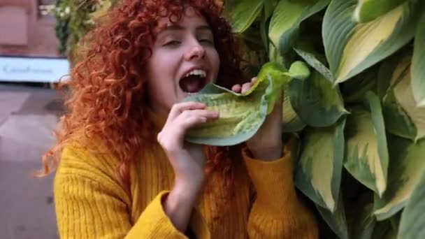 잎으로 놀라운 — 비디오
